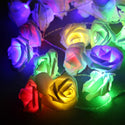 Rose Shaped Fairy Lights 3M
